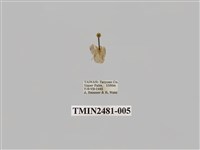 藏品(昏光苔蛾)的圖片
